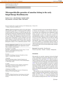 Microsporidia-Like Parasites of Amoebae Belong to the Early Fungal Lineage Rozellomycota