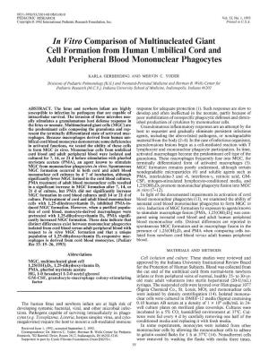In Vitvo Comparison of Multinucleated Giant Cell Formation from Human Umbilical Cord and Adult Peripheral Blood Mononuclear Phagocytes