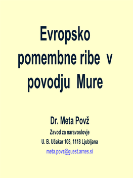 Evropsko Pomembne Ribe V Povodju Mure, Meta Povž, 2005