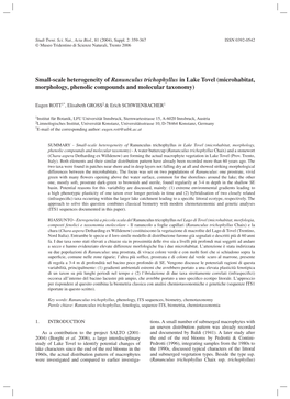Small-Scale Heterogeneity of Ranunculus Trichophyllus in Lake Tovel (Microhabitat, Morphology, Phenolic Compounds and Molecular Taxonomy)