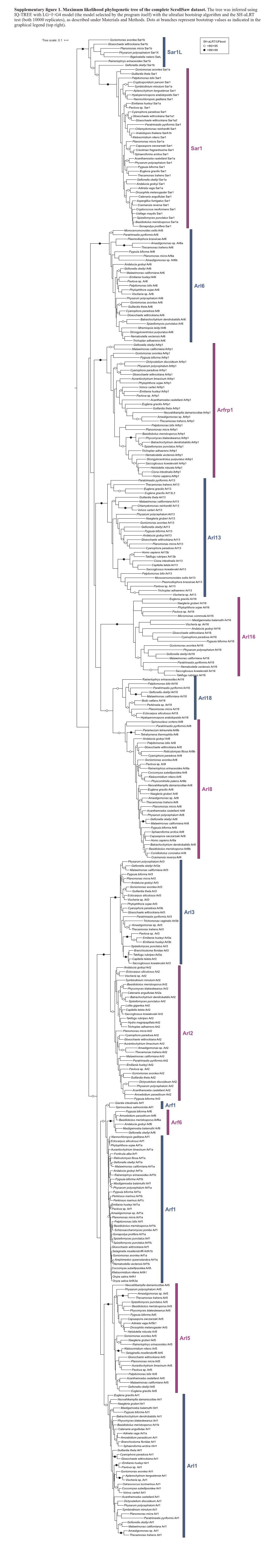 Arfb Tree.Cdr