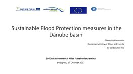 Sustainable Flood Protection Measures in the Danube Basin Gheorghe Constantin Romanian Ministry of Water and Forests Co-Cordonator PA5