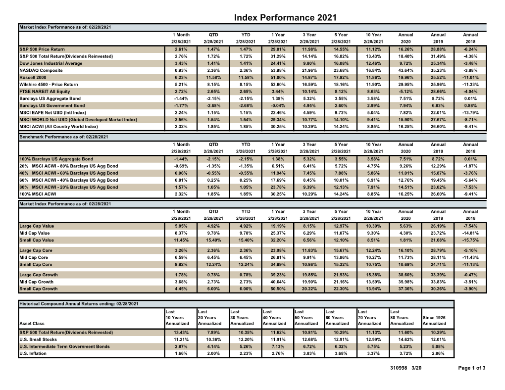 Index Performance 2021