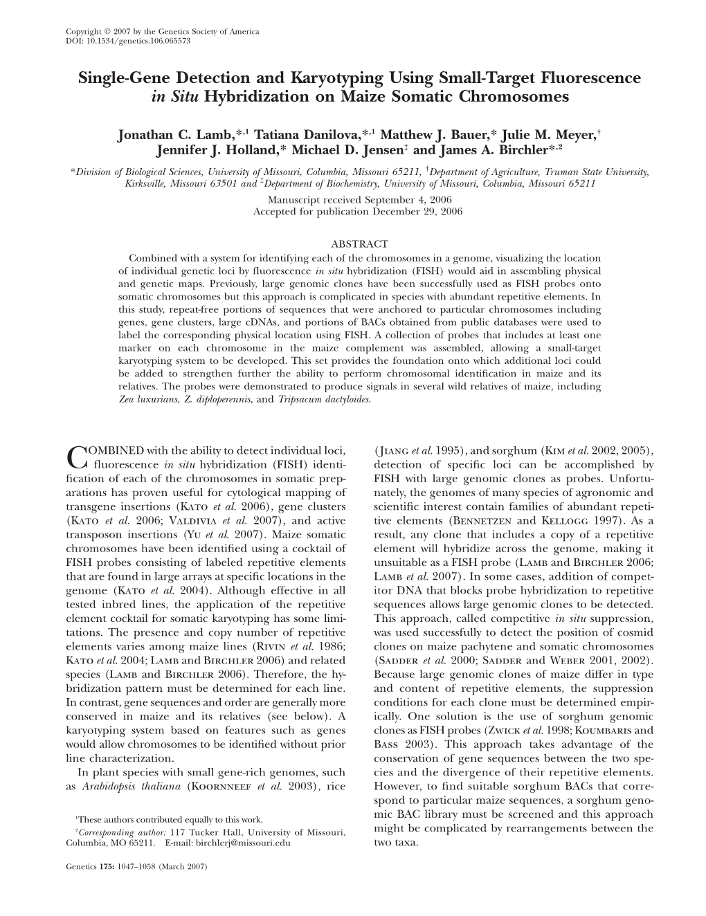 Single-Gene Detection and Karyotyping Using Small-Target Fluorescence in Situ Hybridization on Maize Somatic Chromosomes