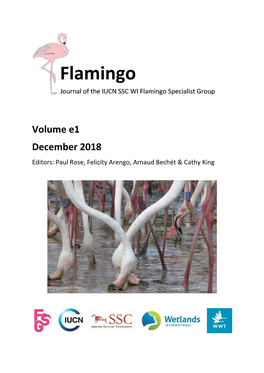 Flamingo E1 2018 Complete