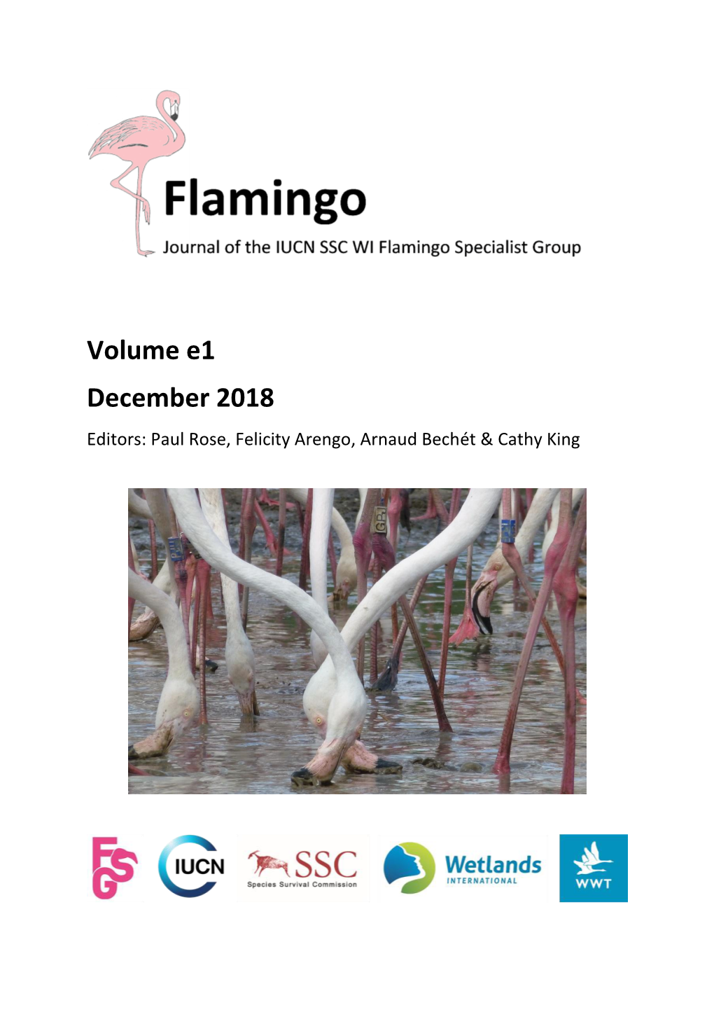 Flamingo E1 2018 Complete