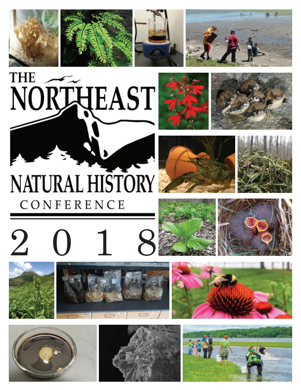 NENHC 2018 Program Guide