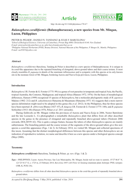 Balanophora Coralliformis (Balanophoraceae), a New Species from Mt