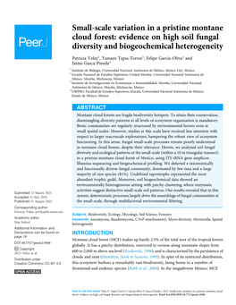 Evidence on High Soil Fungal Diversity and Biogeochemical Heterogeneity