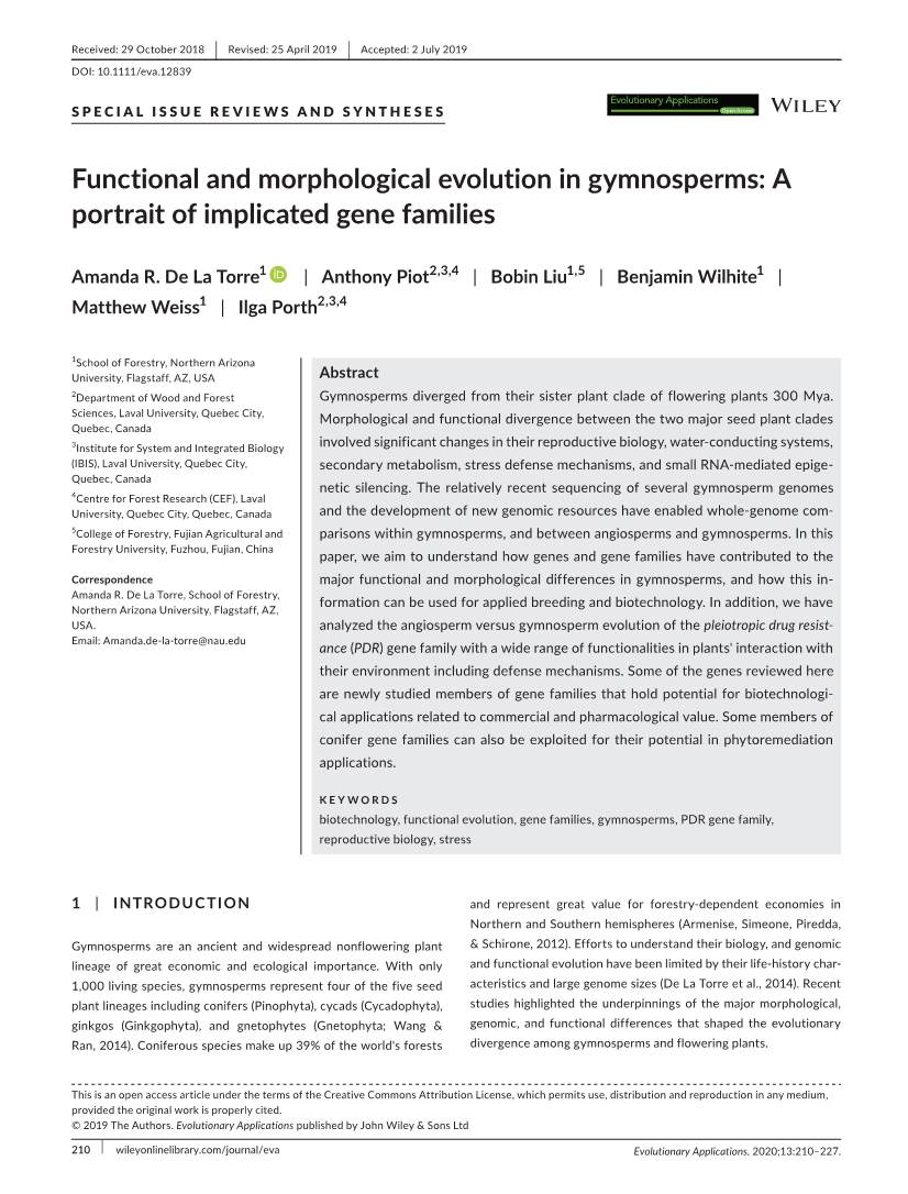 Functional and Morphological Evolution in Gymnosperms: a Portrait of Implicated Gene Families