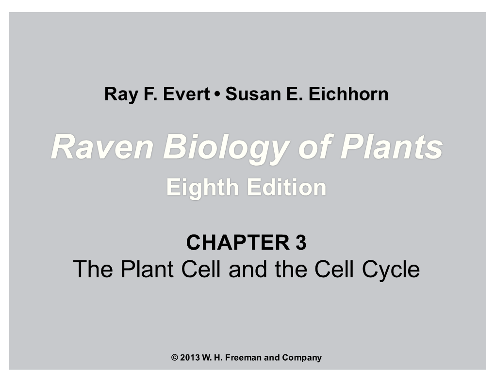 Bop8e Chapter03 REVISED W16 Part 1