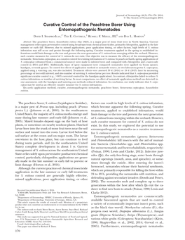 Curative Control of the Peachtree Borer Using Entomopathogenic Nematodes