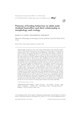 Patterns of Feeding Behaviour in Adult Male Riodinid Butterflies and Their