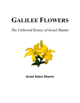Galilee Flowers