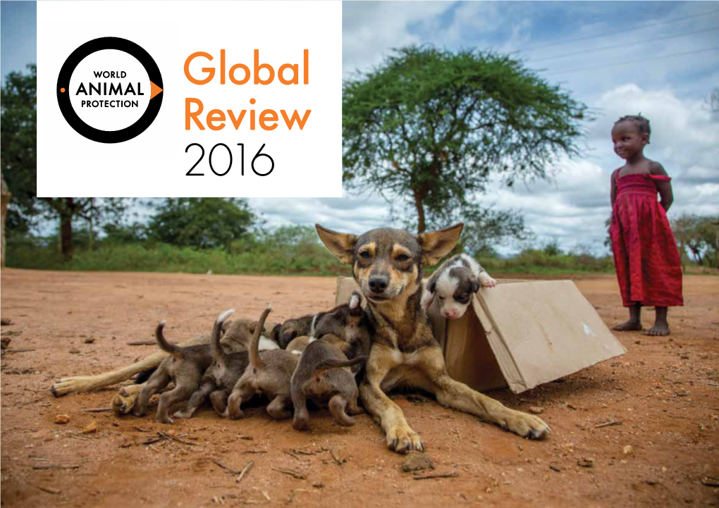 Global Review 2016