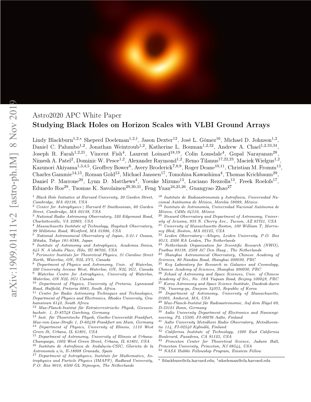Studying Black Holes on Horizon Scales with VLBI Ground Arrays
