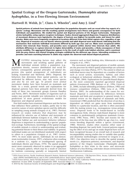 Spatial Ecology of the Oregon Gartersnake, Thamnophis Atratus Hydrophilus, in a Free-Flowing Stream Environment