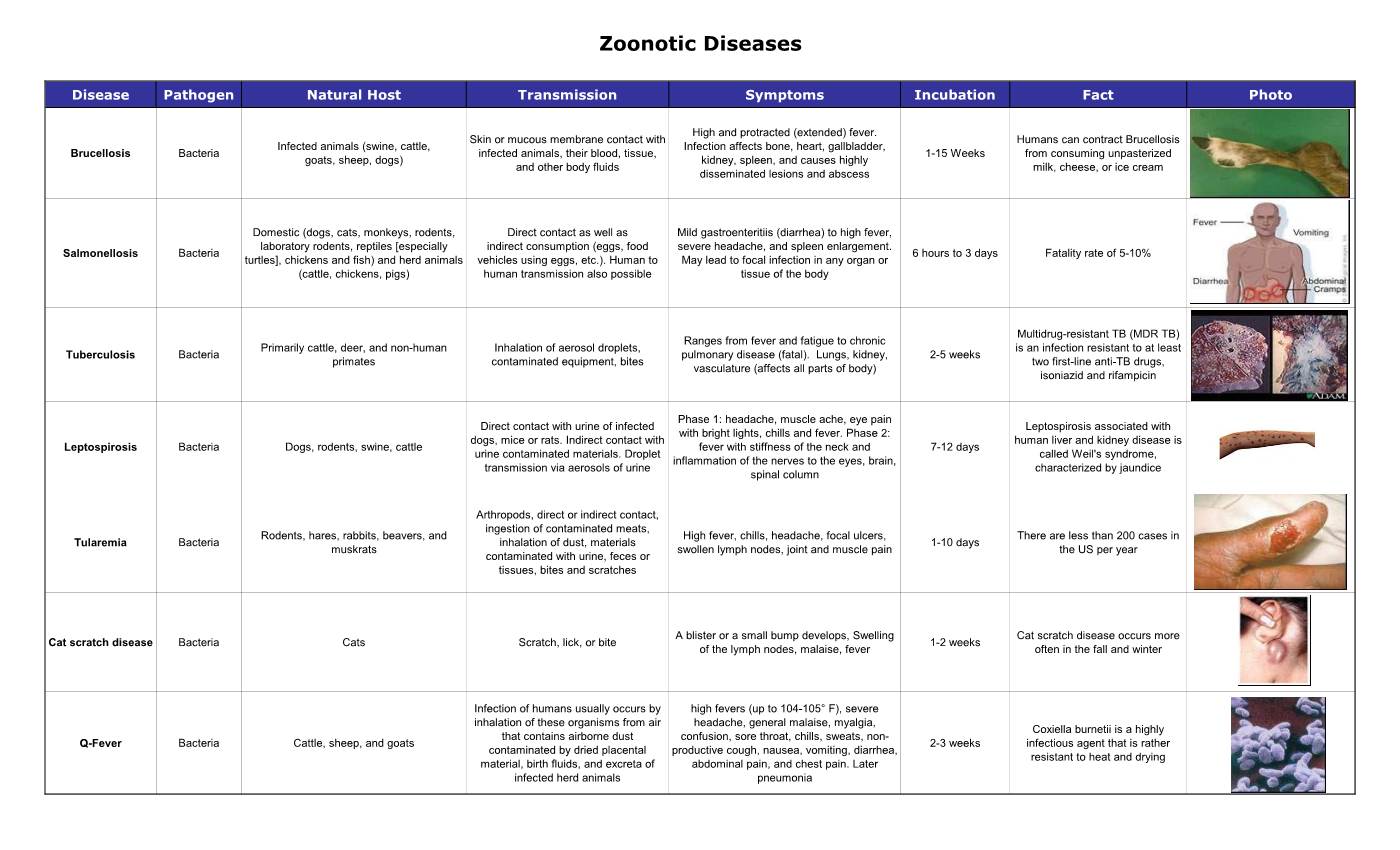 Zoonotic Diseases
