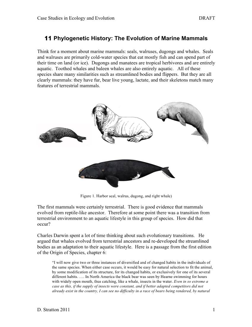 11 Phylogenetic History: the Evolution of Marine Mammals