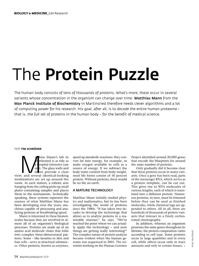 The Protein Puzzle