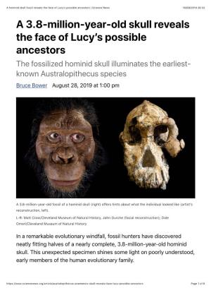 A Hominid Skull Fossil Reveals the Face of Lucy's Possible