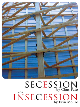 Secession Insecession