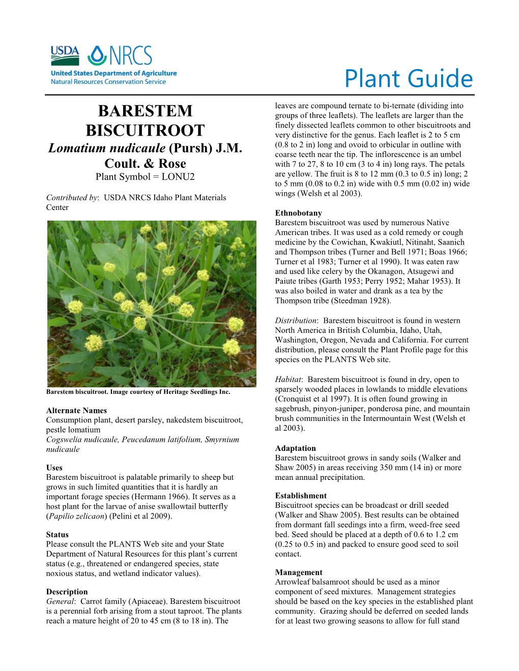 Plant Guide for Barestem Biscuitroot (Lomatium Nudicaule)