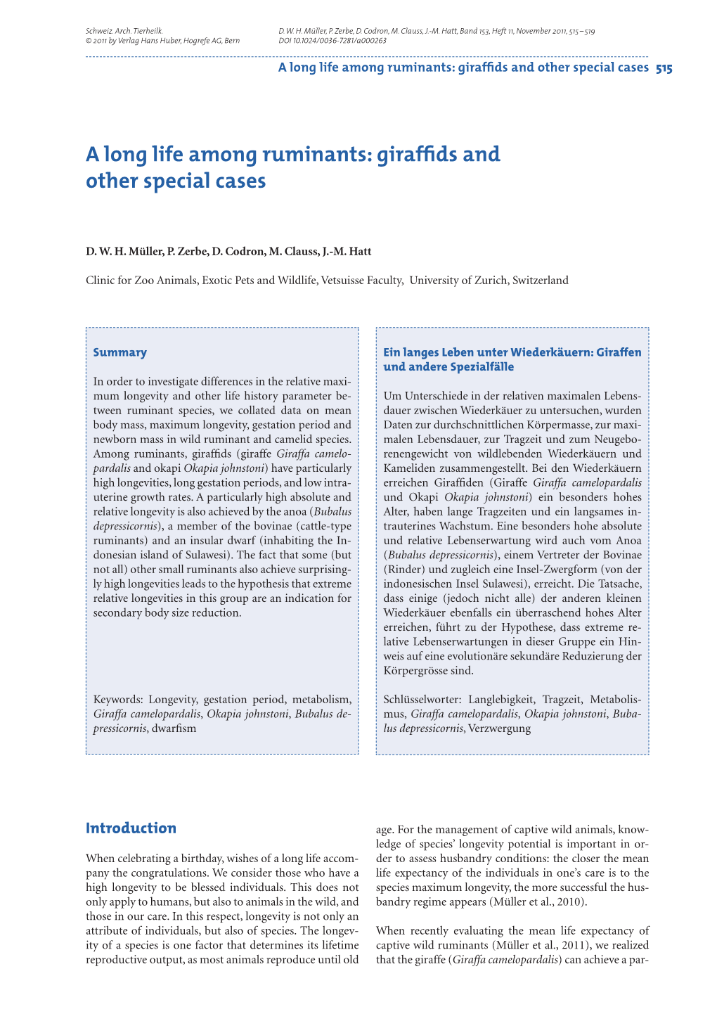 A Long Life Among Ruminants: Giraffids and Other Special Cases