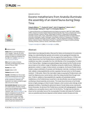 Eocene Metatherians from Anatolia Illuminate the Assembly of an Island Fauna During Deep Time