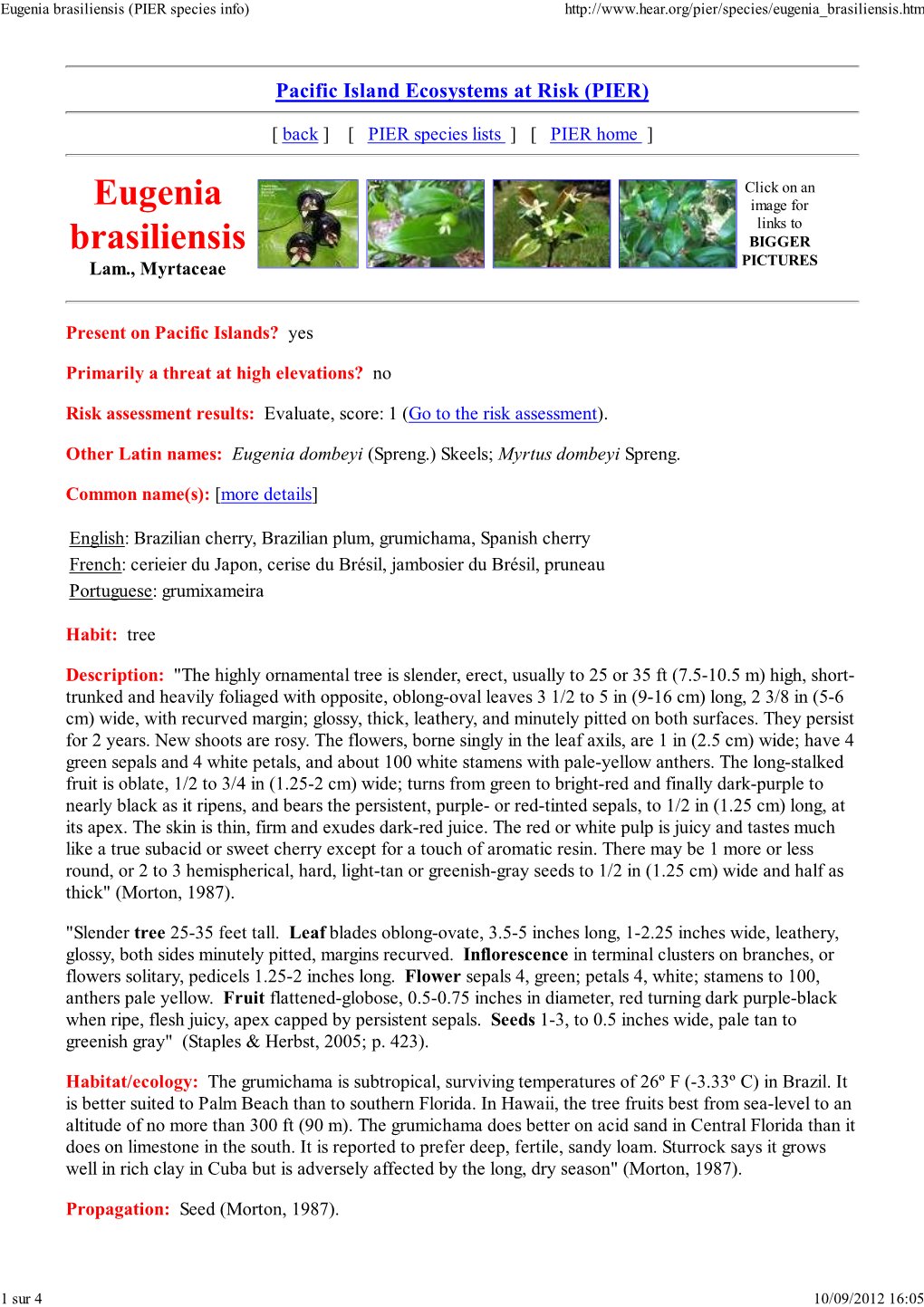 Eugenia Brasiliensis (PIER Species Info)