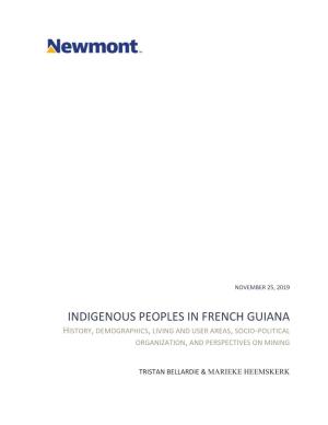 Indigenous Peoples in French Guiana History, Demographics, Living and User Areas, Socio-Political Organization, and Perspectives on Mining