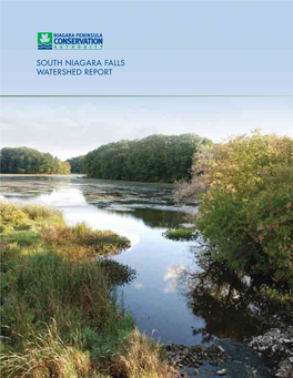 South Niagara Falls Watershed Plan Area