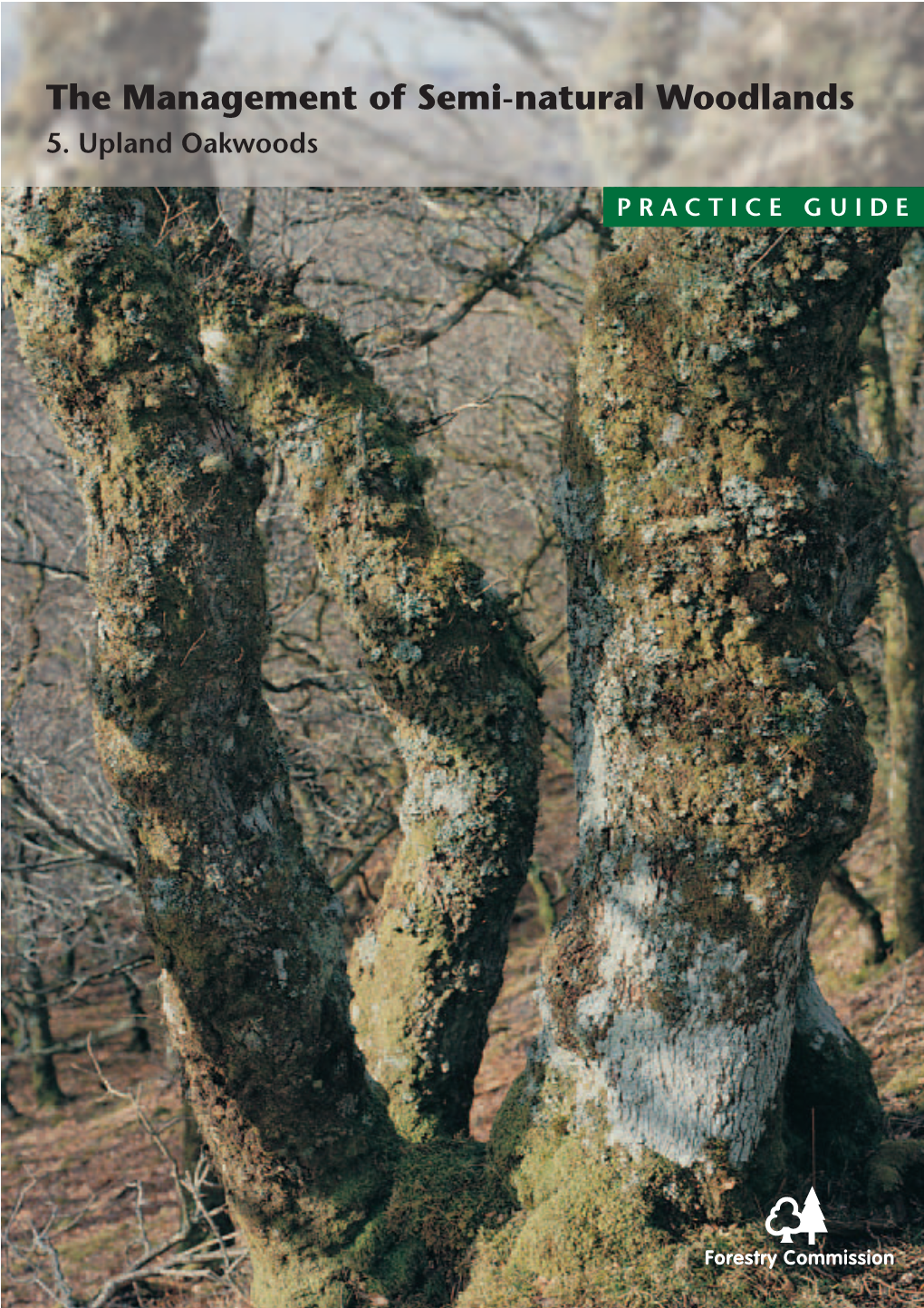 WOODLAND GUIDE 5.Repro