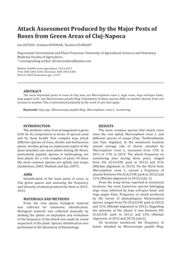 Attack Assessment Produced by the Major Pests of Roses from Green Areas of Cluj-Napoca