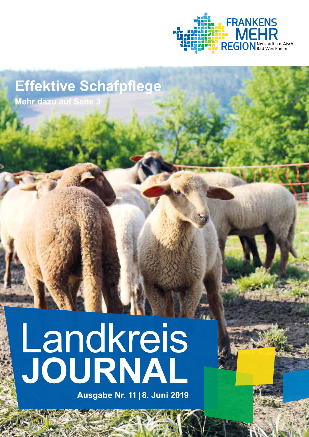 Effektive Schafpflege Mehr Dazu Auf Seite 3