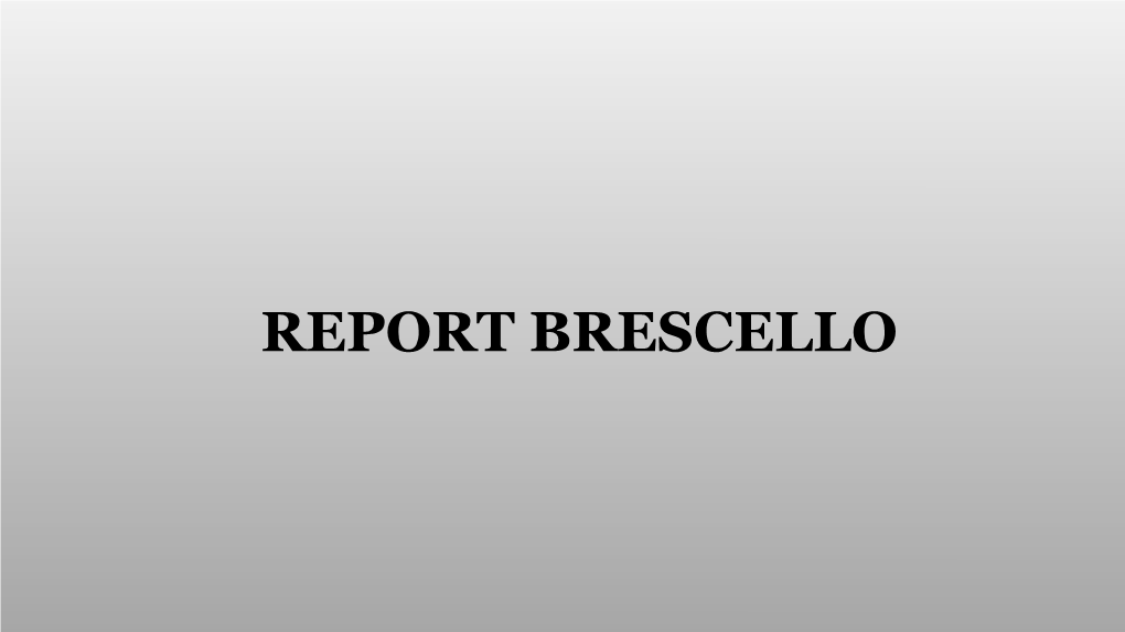 REPORT BRESCELLO Il Museo Di Don Camillo E Peppone