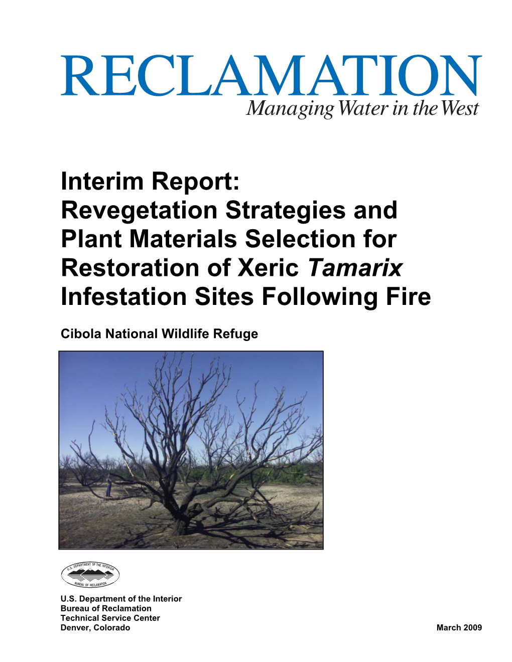 Interim Report: Revegetation Strategies and Plant Materials Selection for Restoration of Xeric Tamarix Infestation Sites Following Fire