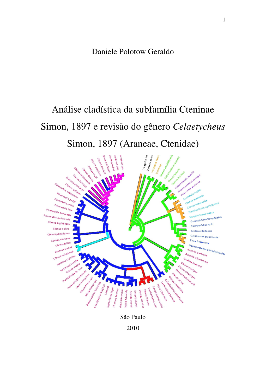 Araneae, Ctenidae)