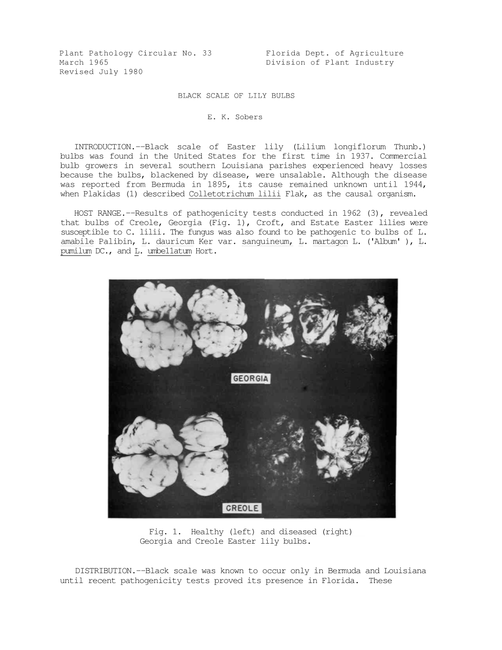 INTRODUCTION.--Black Scale of Easter Lily (Lilium Longiflorum Thunb.) Bulbs Was Found in the United States for the First Time in 1937