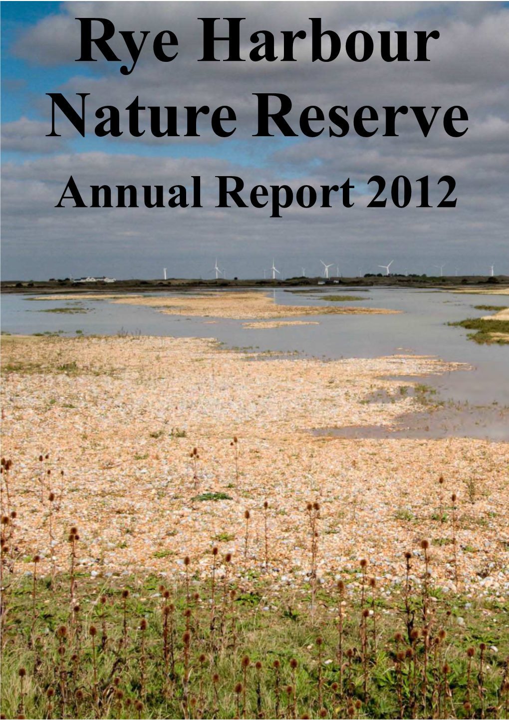 Annual Report 2012