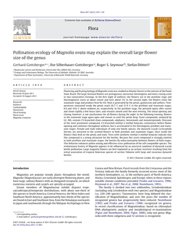 Pollination Ecology of Magnolia Ovata May Explain the Overall Large Flower