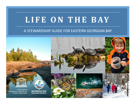 Life on the Bay Guide