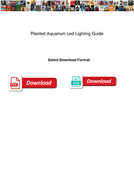 Planted Aquarium Led Lighting Guide