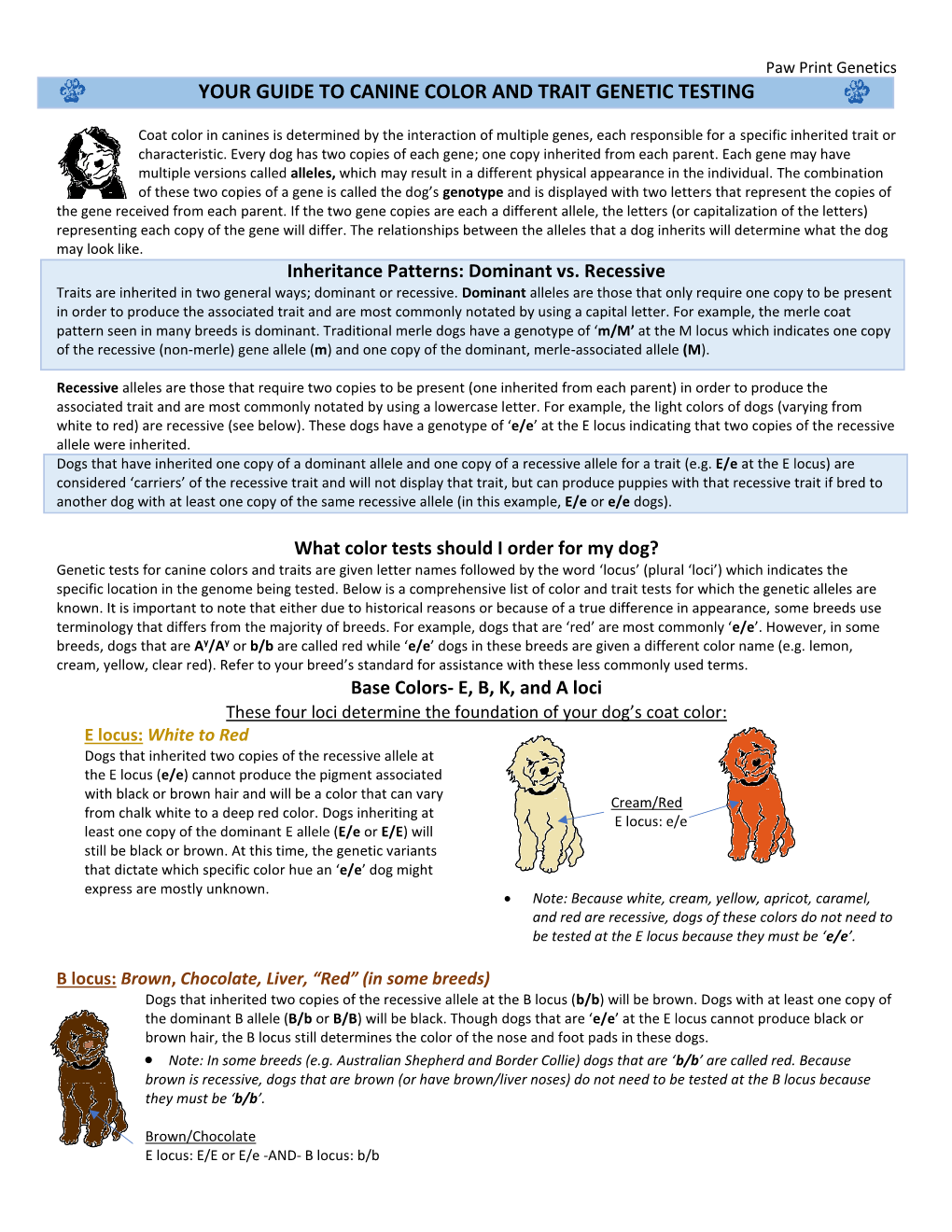 Your Guide To Canine Color And Trait Genetic Testing - DocsLib