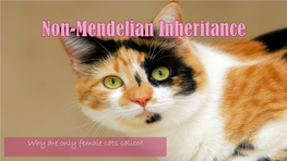 Non-Mendelian Inheritance.Pdf
