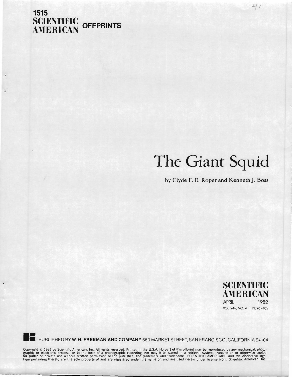 The Giant Squid