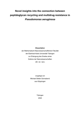 Novel Insights Into the Connection Between Peptidoglycan Recycling and Multidrug Resistance in Pseudomonas Aeruginosa