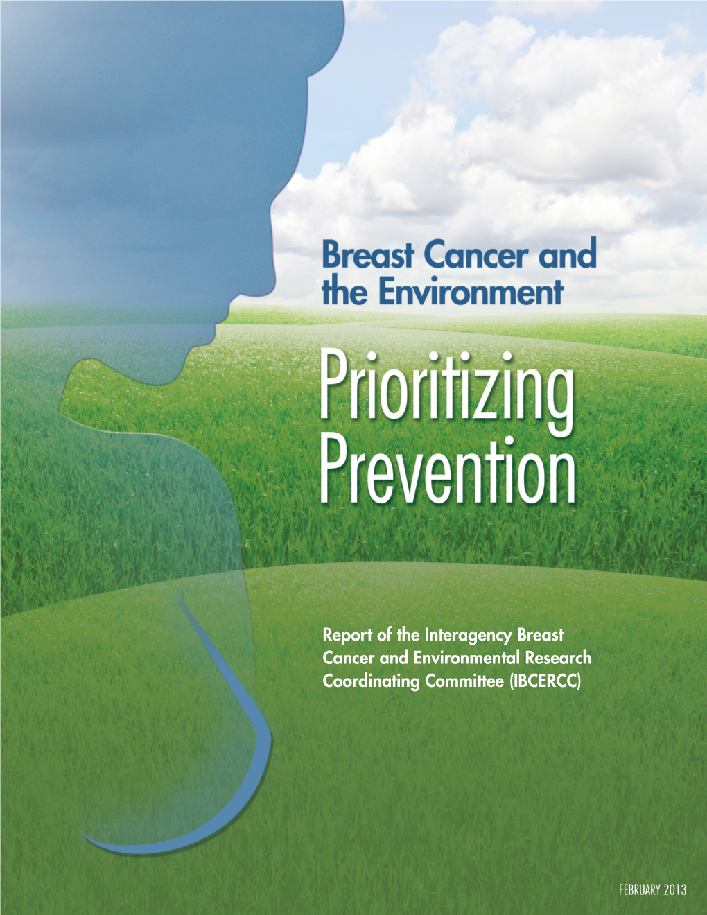 Breast Cancer and the Environment. Prioritizing Prevention