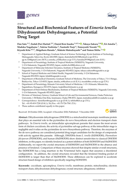 Structural and Biochemical Features of Eimeria Tenella Dihydroorotate Dehydrogenase, a Potential Drug Target