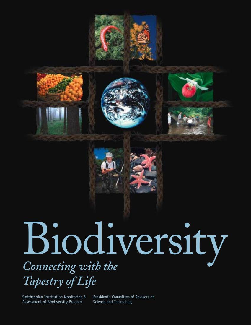 Biodiversity: Connecting with the Tapestry of Life